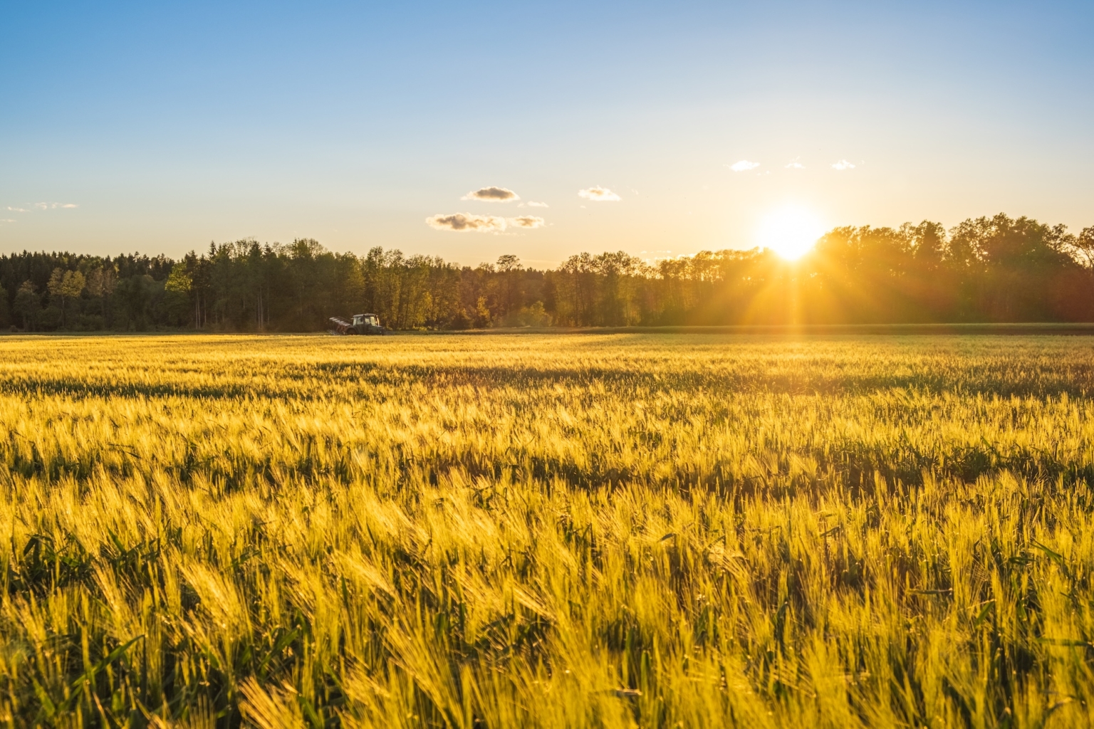 Green field in rural area. Landscape of agricultural cereal fields. Primulan leipomo, Järvenpää, Suomi